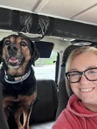 Green Rabbit Outdoors