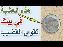 أكبر مفاجأة ستحصل في عضوك الذكري لو وضعت عليه زيت زيتون و ثوم مهروس youtube birthday cards diy beauty care health and beauty