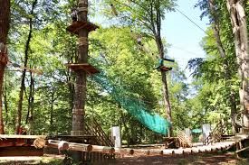 Parcours aventure de Curley