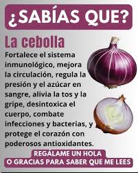 🌿 Beneficios de la Cebolla para la Salud 🧅