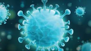 Visit for the latest number of cases & breakdown. Coronavirus Updates March 20 Ministry Of Health Approves Two More Covid 19 Testing Centers For Tamil Nadu Coronavirus News India Tv