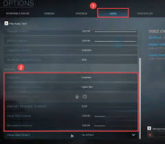 Choose the levels tab and drag the microphone array slider all the way up to 100. Fixed Warzone Mic Voice Chat Not Working Pc Console Driver Easy