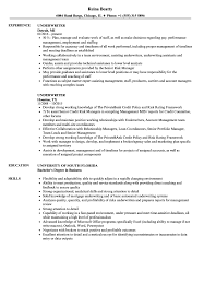 underwriter resume samples velvet jobs