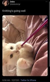 Morning Wake Up Call Fresh Animal Memes January 3rd 2021 In 2021 Animal Memes Funny Animal Memes Cute Funny Animals