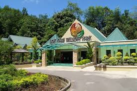 At borneo experiences by singgahsana, we are now focused on the delivering of memorable alternative holidays to our fellow local kuching, sarawak residents and visitors who have adhered to sarawak's entry. Half Day Lok Kawi Wildlife Park From Kota Kinabalu 2021