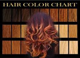 Hair Color Tips Best In Hair Styles And Products