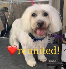 Can anyone help search for a missing 9-year-old autistic non-verbal boy in  Danville?