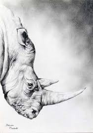 Supercoloring.com is a super fun for all ages: Draw Wildlife In Colored Pencil Novocom Top