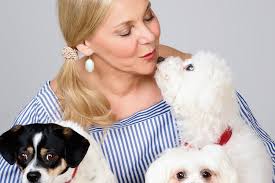 We Made Pet Adoption Chic