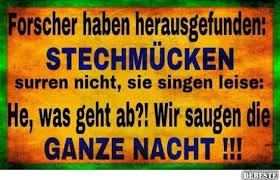 Stechmucken Surren Nicht Sie Singen Lustige Bilder Spruche Witze Echt Lustig Singen Coole Spruche Lustige Spruche