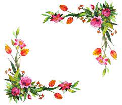 Borders And Frames Flowers Frame Wallpaper Flower Quotes