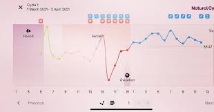 Ovulation occurs before 2 weeks of the period. Safe Days To Avoid Pregnancy How To Calculate Before And After Periods Tuko Co Ke