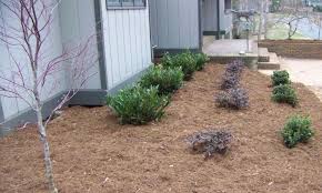 Wikipedia user cgballer (talk) (uploads) | gfdl. Residential Landscaping New Hope Landscaping Gastonia Clover