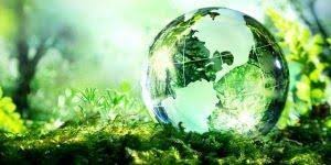 Doresc sa reclam un vecin care face porti si garduri din fier de ani de zile si astfel ma deranjeaza mereu cu zgomotele platforme de deșeuri îngropate și cu camere video în baia mare de la 1 iunie 25 apr. Consultanta Gestiune Deseuri Fond De Mediu Baia Mare