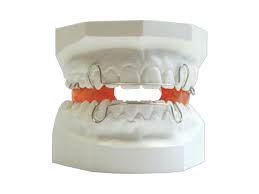 Appliances best sellers refrigeration cooking washers & dryers dishwashers parts & accessories. Ortholab Ortho 3d Models Metzelder Appliance