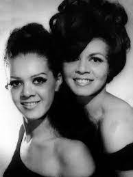 Laurel Lind's Instagram, Twitter & Facebook