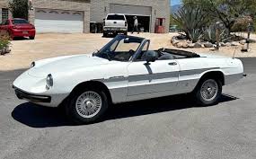 Image result for Gray 1980 Alfa-Romeo