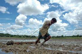 A New Farming Technique Using Drastically Less Water Is Catching On Farming Techniques Farmer Water