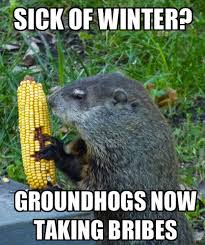 Check spelling or type a new query. 10 We Ve Got Cabin Fever Ideas Bones Funny Winter Humor Funny Pictures