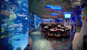 بالصور أشهر 5 مطاعم تحت الماء حول العالم