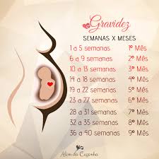 Idade Gestacional Calculadora De Gravidez Semanas Em Meses O Ministerio Da Saude Deveria Distribuir Para A Populacao Um Panfleto Com Essas Informacoes Para Meses De Gestacao Frases De Gravidez Feliz Meses De Gravidez