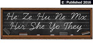 Here are the full questions: She Ze They What S In A Gender Pronoun The New York Times