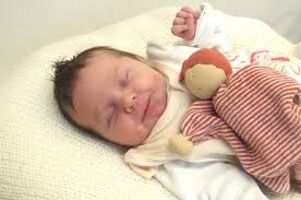 Diese süßen Babys aus MV stellen sich vor