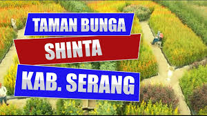 Check spelling or type a new query. Taman Bunga Shinta Kab Serang Youtube