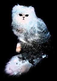 Pin By Clarissa Doran On Arts And Farts Star Art Cat Art Art