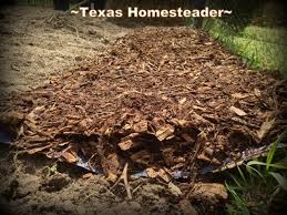 Wood chips (or mulch) recycle important nutrients back into the soil. Cheap Or Free Mulch Options For The Garden Texashomesteader