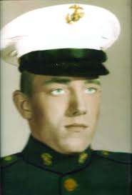 Hometown Heroes: Mecosta County salutes its veterans