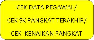 Pada umumnya, jika sk kenaikan pangkat telah diterbitkan sekalipun sk itu belum juga diterima oleh si pemiliknya, pangkat dan golongan sudah akan menyesuaikan dengan pangkat dan golongan yang. Cek Pangkat Dan Golongan Pns Di Portal Bkn Pendidikan Kewarganegaraan Pendidikan Kewarganegaraan