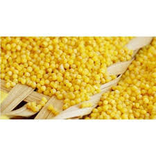 Soyulmus Dari 1 Kg 15 50 Tl Ile N11 Com Da Diger Muhabbet Kusu Yemi Fiyati Ve Ozellikleri Evcil Hayvan Urunle Evcil Hayvan Urunleri Kus Yemi Muhabbet Kuslari
