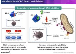 Image result for BCL2 Inhibitor