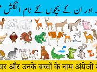 What are the names of baby animals and their parents in english? Animal And Their Babies Names Animals And Their Young Ones Kids Voca Baby Animals Baby Names Animals