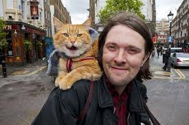 How one man and his cat found hope on the streets: James Bowen Author Wikipedia
