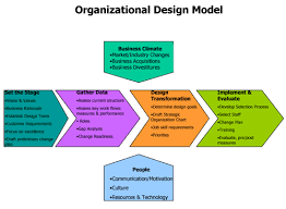 organizational design model organizational design