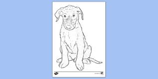 Puppy coloring pages for kids online. Free Printable Puppy Colouring Colouring Sheets