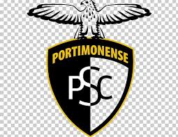 Logo em 1991, o clube de periçá tomou parte da sua segunda copa do brasil no primeiro semestre. Estadio Municipal De Portimao Portimonense S C C D Aves Primeira Liga C F Os Belenenses Png Clipart Beak Bird