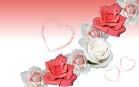 If you're in search of the best red rose love wallpaper, you've come to the right place. Flower Rose Wallpaper Habeebinfo