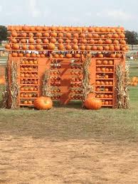 We Found The Best Pumpkin Farms To Visit This Fall Pumpkin Farm Pumpkin Patch Farm Pumpkin House