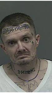 Shane Stallard's Instagram, Twitter & Facebook