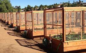 It needs (4) large bags of dirt to fill it, though photo shows planter with only (3). Dig Sow And Grow At New Community Garden News San Diego County News Center