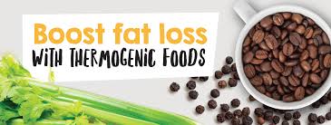 Natural Health Store Health 2000