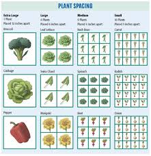 how to plant a square foot garden mother earth news