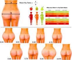 Why Do Males Tend To Consider Women With A Lower Waist-Hip Ratio More  Attractive Or Sexy? - Https://Debuglies.com