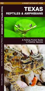 Texas Reptiles Amphibians A Folding Pocket Guide To Familiar Species Wildlife And Nature Identification Kavanagh James Leung Raymond 9781620053706 Amazon Com Books