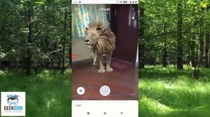 How To See Google 3d Ar Animals Watch Tiger In Bedroom Youtube