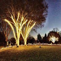 Check spelling or type a new query. 37 Best Rope Light Ideas Rope Light Rope Lights Outdoor Christmas