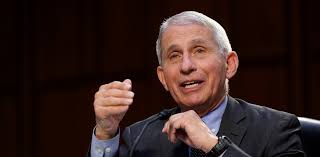 Covid y vacunados con comorbilidades: auditarán certificados truchos y  amenazan con quitar matrículas médicas